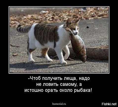 Да! ))