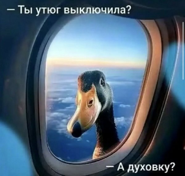 Дергай стоп кран )
