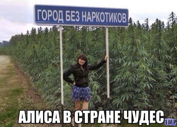 67cd193cbce6e4fce8036bd723d16857