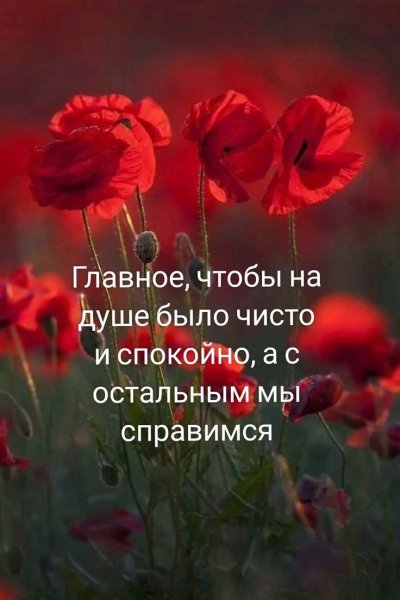 picture_383596008