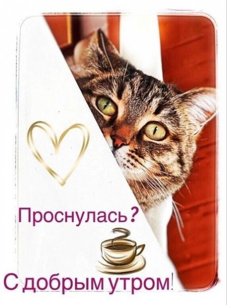 Tt26ZDNwM9E