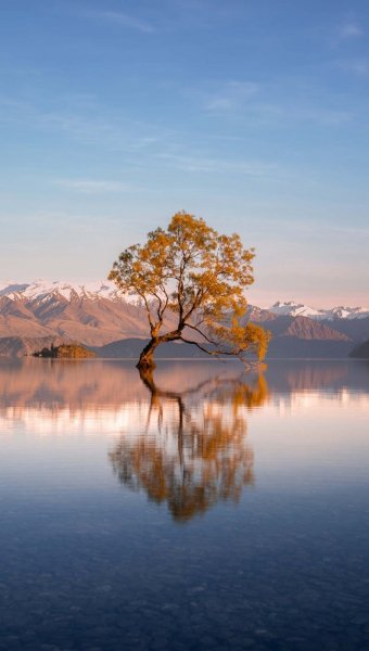 Screenshot 20260516-115535 One UI Home