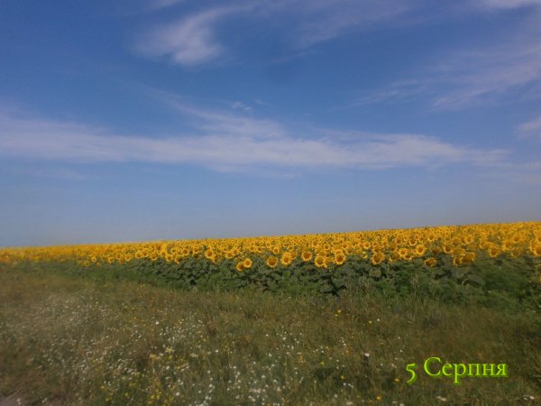 5 Серпня