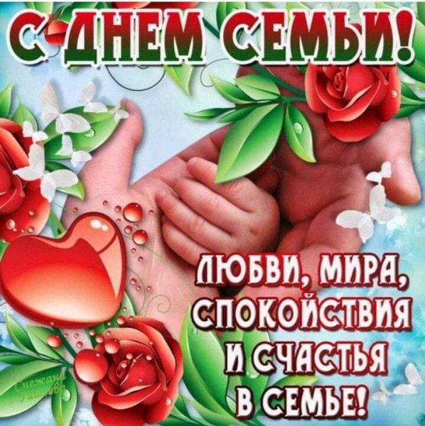 FB IMG 16210700736296546