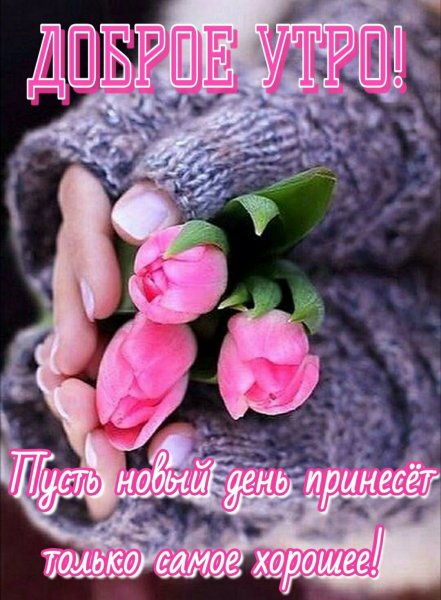 2bd56c6f740fcda968c04aa1ec702354