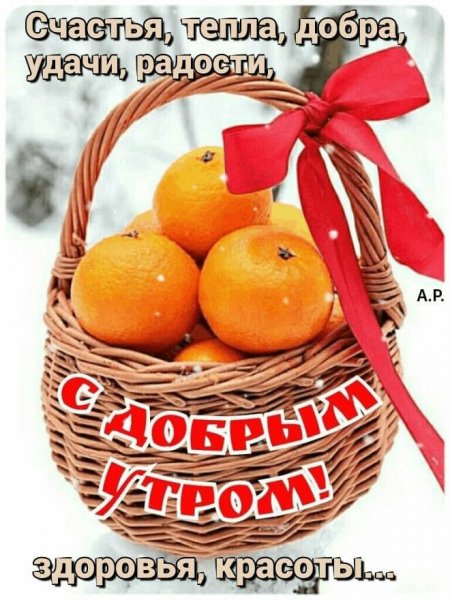 IMG-20210221-WA0002