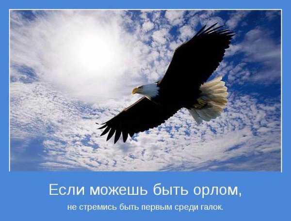 Так!!!