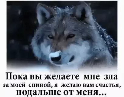 picture_213839627