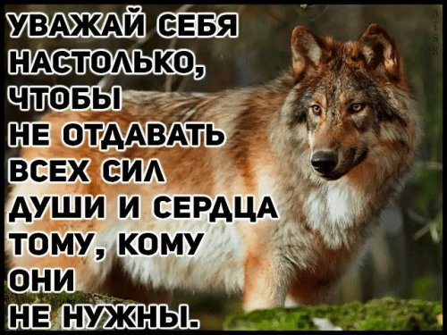 picture_213839706