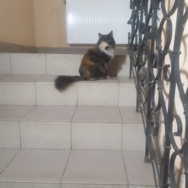 IMG 20260821 045410 902