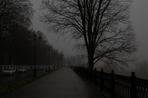 picture_351932565