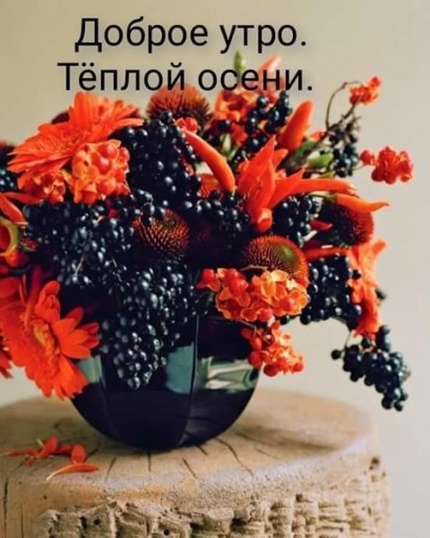 IMG-20210925-WA0000