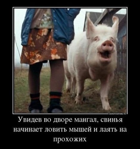 Хрю