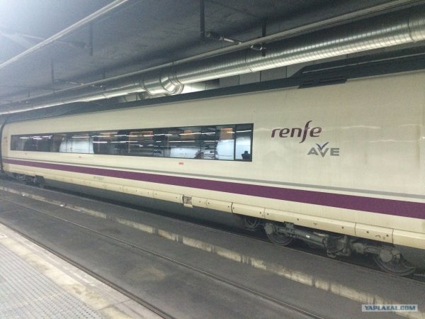 picture_92987740