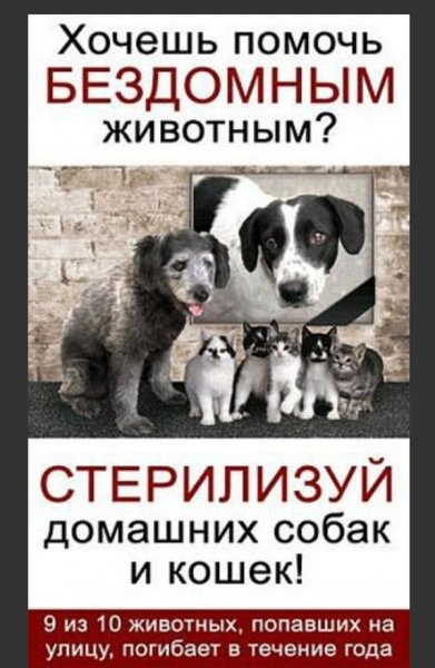 Помните!