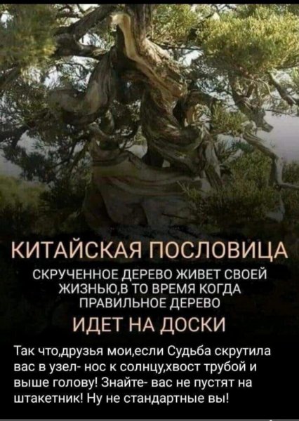 IMG 20240204 092425