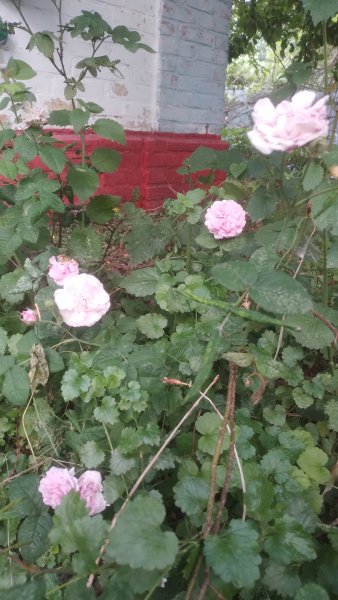 picture_413973340