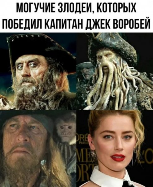 03ffe5cf64 20095479