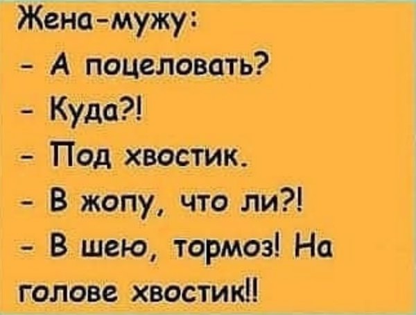 picture_238464744