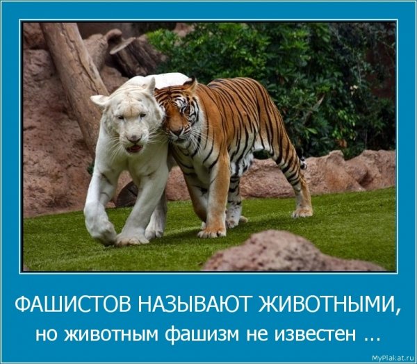 Фашизм не известен