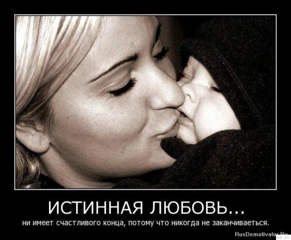 Demotivatory (8)
