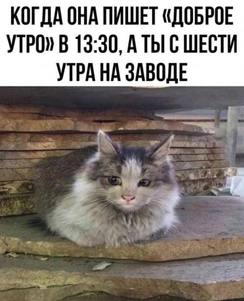 IMG 20260616 100732 360
