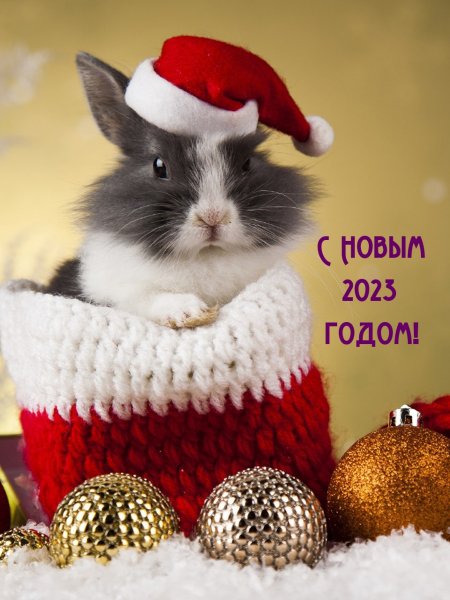 Imagename ru 28399