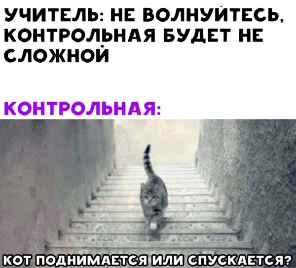 IMG-f53c0ec5c81ffd0b56b2ed1912140989-V