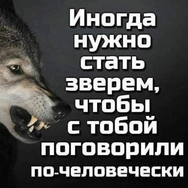 09-23-52-242758154 409562937281621 136670925403671432 n
