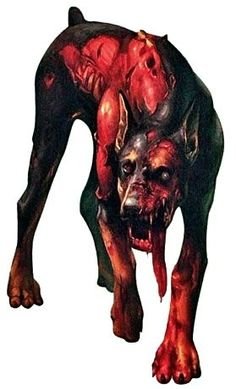 Zombi dog