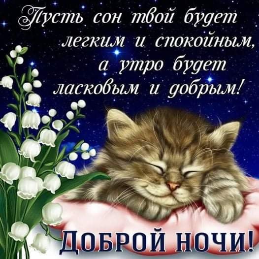 FB IMG 1621205878235