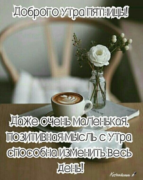 Друзья мои!