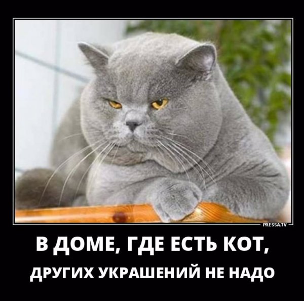 Дем