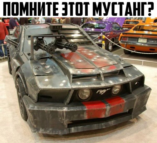 WG zBko8uvE