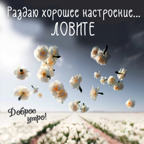 Dobroe-utro-udachnogo--otlichnogo-nastroeniia-so-smyslom-2