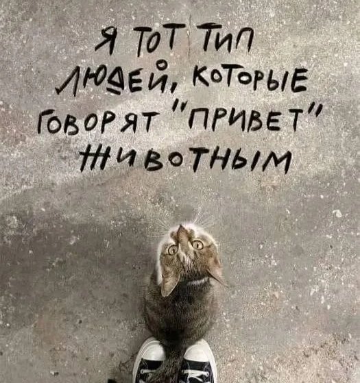 Всем привет!