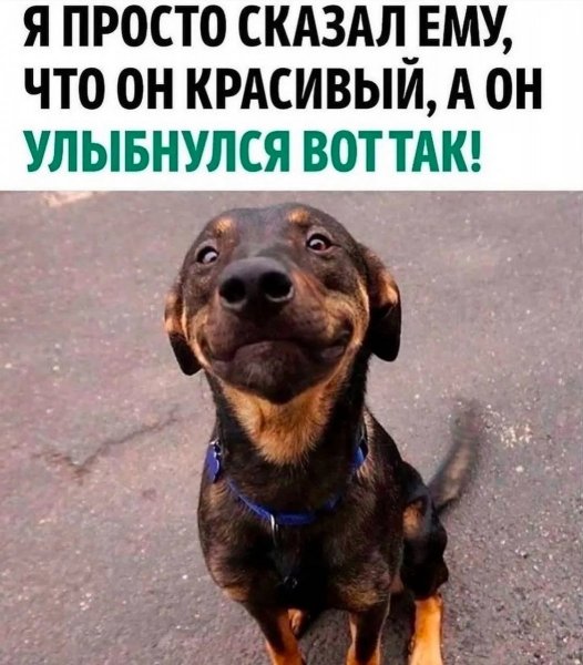 p.1200.1200.0