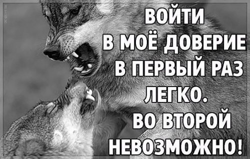 picture_213839609