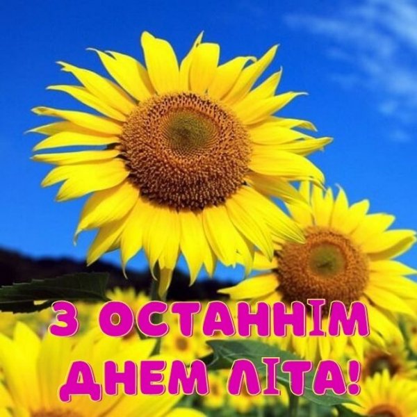 08-31