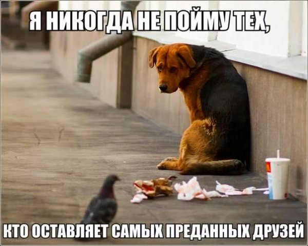 Дружба