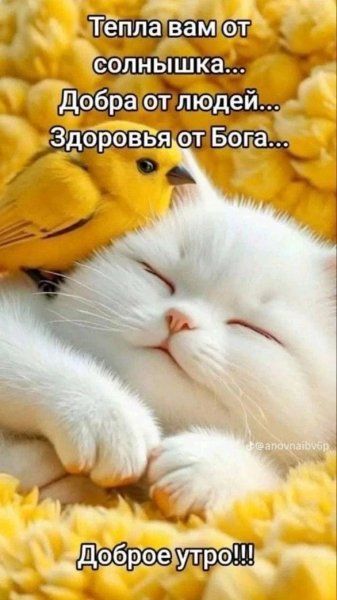 IMG 20260808 093752 014
