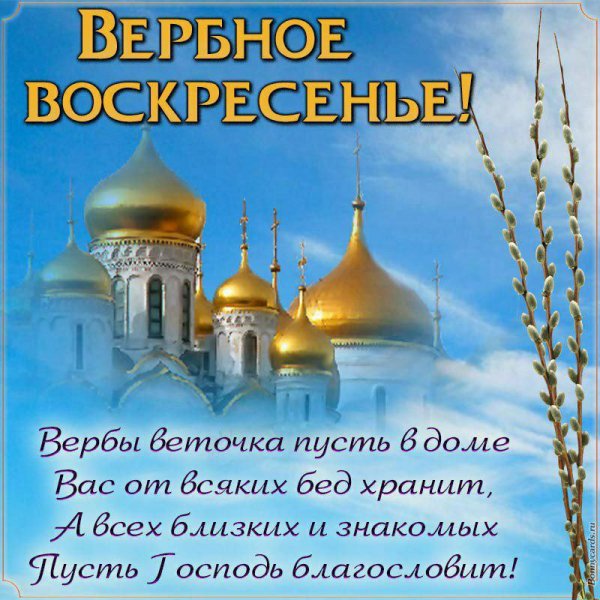 IMG-2713ddc86bb5d8ea915697c9880aa9b6-V