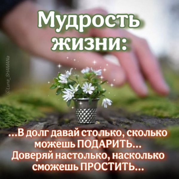 Мудрость жизни...