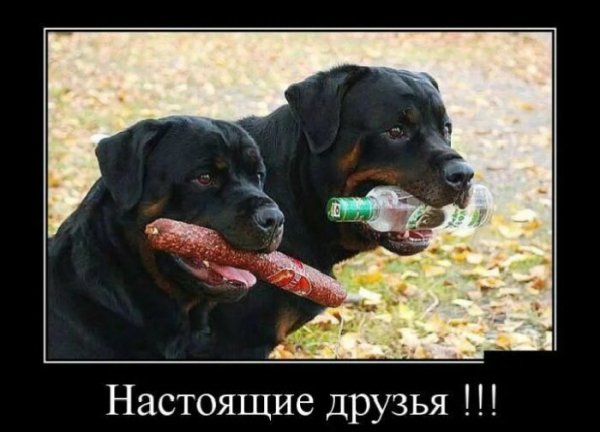 Да! ))