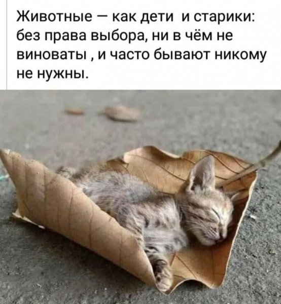 Никому не нужны