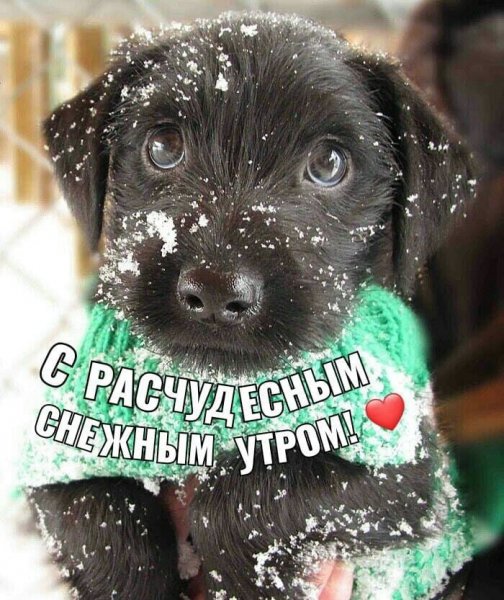 Всех и каждого!