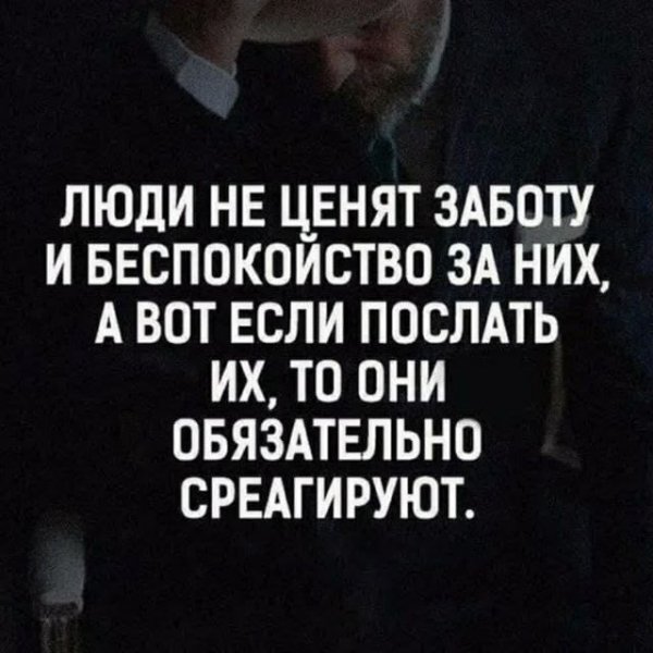 IMG-20221027-WA0213