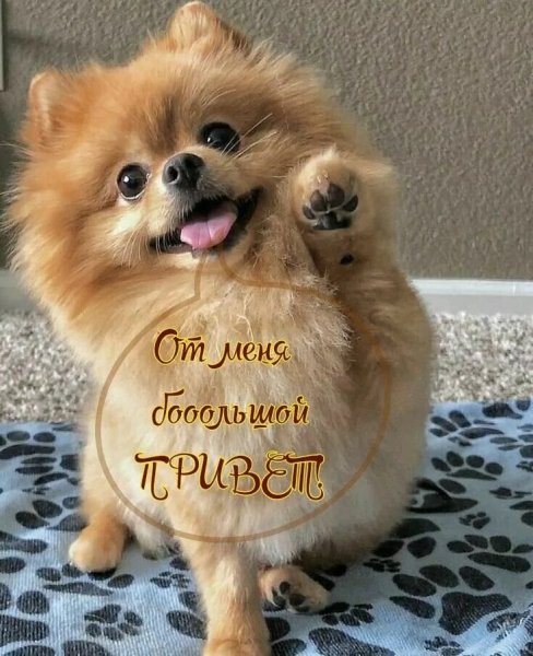 Всем и каждому!