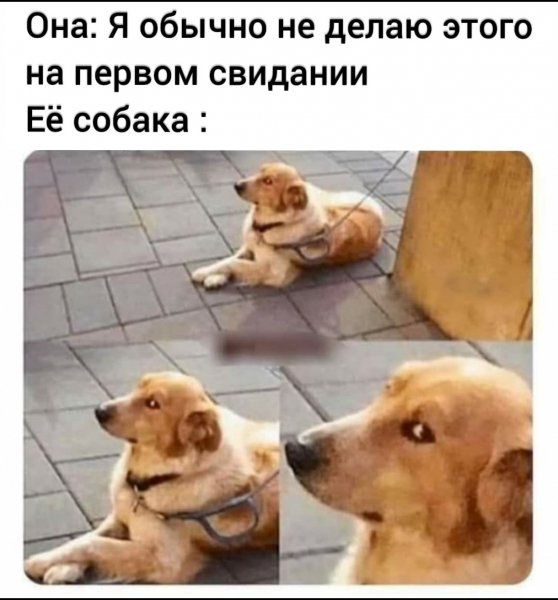 IMG 20260814 130830 625