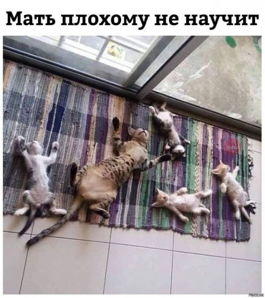 )